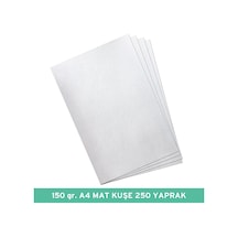 150 Gr A4 Mat Kuşe Kağıt, 250 Yaprak Çok Renkli