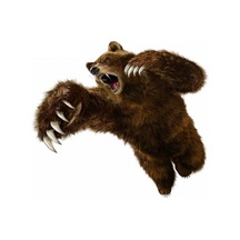 Vahşi Ayı Araba Sticker Yapıştırması 20 Cm