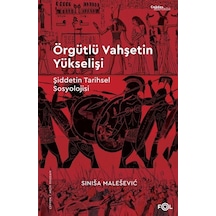 Örgütlü Vahşetin Yükselişi / Sinisa Malesevic