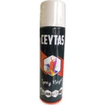 Ceytaş Sprey Boya 200 Ml Bakır Diğer