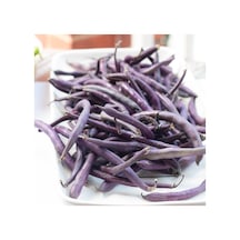 Geleneksel Purple Wax Sırık Fasulye Tohumu 10 Tohum