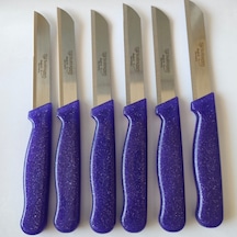 Keskin Solingen Marka Meyve & Sebze Bıçağı 6 Adet Simli Mor