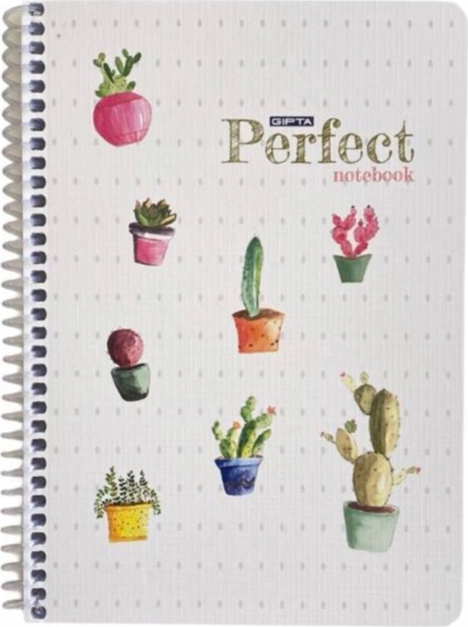 Perfect Notebook Orta Boy Kareli Defter Karışık