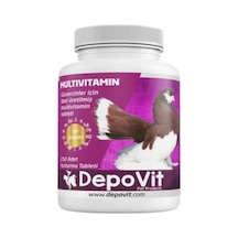 Depovit Enerji Vitamin Desteği Multivitamin Tablet 250'li