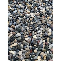 Ahs Doğal Dalaman Dere Çakılı Taşı 1 Kg 1-1,5 Cm Dere Çakıl Bahçe Peyzaj Saksı Teraryum Akvaryum Taş