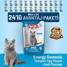 Somonlu Yetişkin Yaş Kedi Maması 85 G - 24 Adet