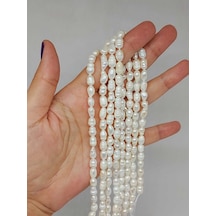 Yasamtohumu İnci Dizi Beyaz 5 8mm 53342 Çok Renkli