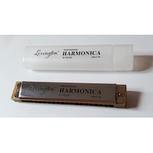 Lexington Hm0120 Mızıka 20 Delikli Orta Boy