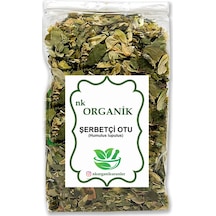 Şerbetçi Otu Humulus Lupulus 25gr