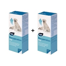 Viyo Recuperation Köpek Ek Besin Takviyesi 2 x 150 ML