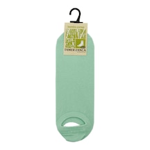 Mint Yeşili