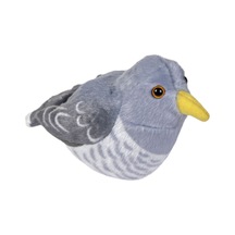 Çok Renkli