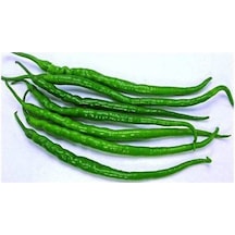 Tohum Acı Kıl Biber Tohumu 50+ Adet Acı Kıl Biber Tohumu