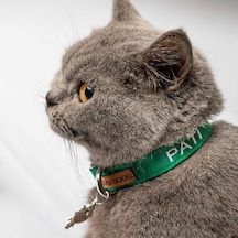 İsimli Kedi Tasması Kedi Boyun Tasması Ayarlanabilir Charm Dahil Değil Yeşil