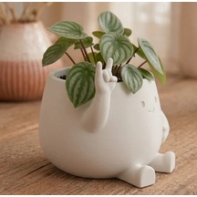Gees Global 3d Baskı Smiley Face Planter - Gülümseyen Karakterli Saksı-beyaz Gbzs