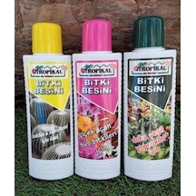 Bitki Besini 3' lü Set Kaktüs Sukulent Besini Çiçek Açtıran