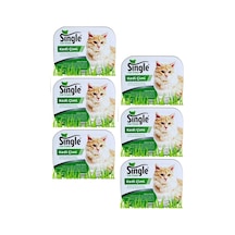 Single Natural Kedi Çimi 6'lı