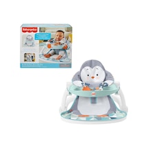 Fisher Price Tepsili Ana Kucağı