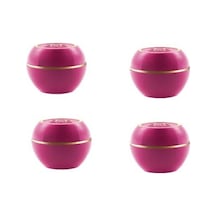 Tender Care Gül Özlü Koruyucu Balm 30861 4 Adet