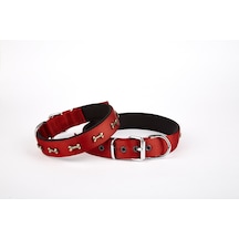 Softlu Kemik Desenli Köpek Tasması 2 Cm X 45 Cm Kırmızı Çok Renkli