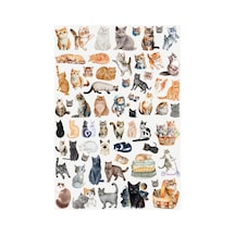 62 Adet Sevimli Kediler Sticker Seti - Etiket Seti Scrapbook Bullet Journal Çok Renkli