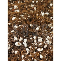 Substrat Lıght Mıx Ithal Sphangum Torfu Cocopeat Perlit Özel Karışım Saksı Harcı Çiçek Ve Bitki Toprağı 3 Lt 1