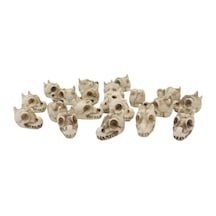 Suntek 20 Adet Ejderha Kemik Oyun Seti Heykel Vazo Dolgu 2.3cmx1.5cm