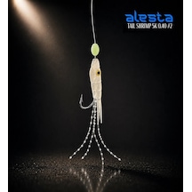Alesta Taıl Shrımp Rıg X0284 5 Köstek Hazır Takım 0.40mm No:2 İğne Çok Renkli