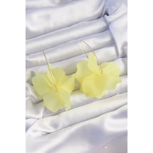 Ezoconcept Pirinç Sarı Renkli Flora Küpe 001