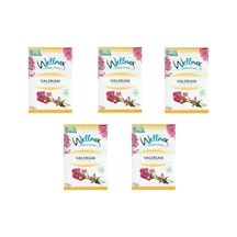 Wellnax Breeze Refresh Dolap Ve Çekmece Kokusu Valerian Çiçeği Kesesi 5 Adet