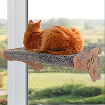 Cama Yapışan Kedi Yatağı