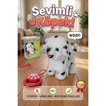Çok Renkli