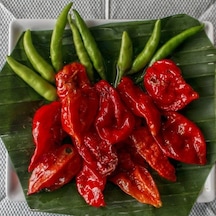 Bhut Jolokia Dünyanın En Acı Biber Tohumu 4 Tohum