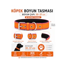 Pedli Köpek Boyun Tasması 30-37 Cm 2 Cm İçi Pedli Metal Tokalı - Turuncu Pembe Çok Renkli