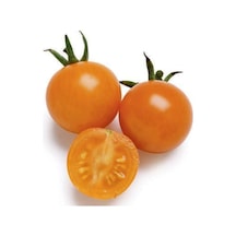 Ithal Nadit Cherry Turuncu Domates Tohumu 10 Adet Tohum