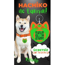 Petjoo 19.Hachiko Yeşil-Turuncu Qr'lı Köpek Künyesi