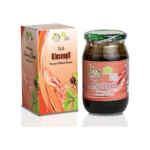 Ginsengli Ballı Karışım Macun 460g