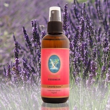 Defne Nuka Essencia Lavanta Suyu 100 ML