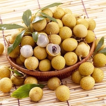 Longan Fidanı 5 Yaş 100 Cm Yerli Üretim Ve Aşısız