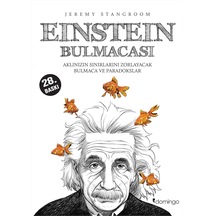 Einstein Bulmacası: Aklınızın Sınırlarını Zorlayacak Bulmaca Ve Paradokslar