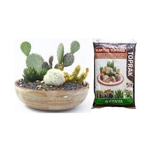 Genta Kaktüs ve Succulent Bitkileri için Toprak 5L
