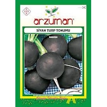 1 Paket Tohum Siyah Turp Tohumu Organik Tohum 10gr