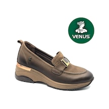 Vizon
