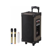 Lt-912 Süper Bass Şarjlı Çift Mikrofonlu Hoparlör Karaoke Sistemi 100w Taşınabilir Parti Box