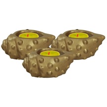 Mumluk Şamdan 3 Adet Tealight Uyumlu Deniz Kabuğu Mum Model - Altın