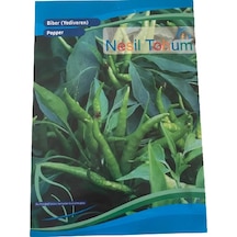 Biber Yediveren Atalık Tohumu 3 Paket