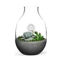 Kişiye Özel Eden Terrarium
