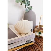 Bernami Mum Pinterest Beyaz Istiridye Deniz Kabuğu Şeklinde Kokulu Mum Diğer