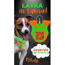 Petjoo 22.Layka Turuncu-Yeşil Qr'lı Köpek Künyesi