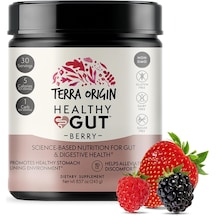 Healthy Gut Berry Pepzingı Zinc Carnosine Copper L-glutamine L-alanyl-l-glutamine N-acetyl-d-glucosamine Slippery Elm Bark Msm Dgl Licorice Stevia Quercetin Carnosine Aloe Vera